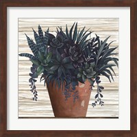 Remarkable Succulents II Fine Art Print