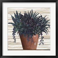 Remarkable Succulents II Framed Print