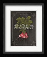 Fresh Radishes Fine Art Print