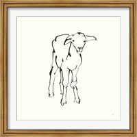 Line Lamb Fine Art Print