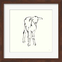 Line Lamb Fine Art Print