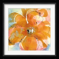 Amber Wash II Framed Print