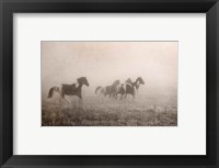 Paint Horses on the Run Fine Art Print