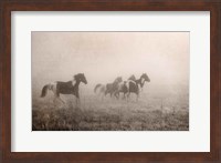 Paint Horses on the Run Fine Art Print