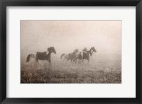 Paint Horses on the Run Fine Art Print