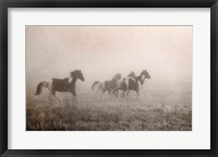 Paint Horses on the Run Framed Print