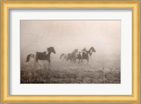 Paint Horses on the Run Fine Art Print