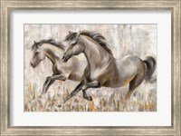 Running Horses Fine Art Print