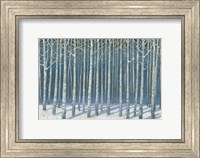 Shimmering Birches Fine Art Print