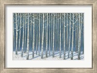 Shimmering Birches Fine Art Print