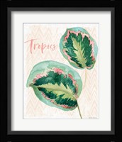 From the Jungle XI Framed Print