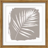 Nature By The Lake - Frond II Sq Fine Art Print