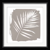Nature By The Lake - Frond II Sq Framed Print