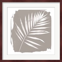 Nature By The Lake - Frond II Sq Fine Art Print