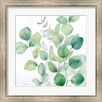 Eucalyptus Leaves I Fine Art Print