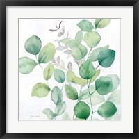 Eucalyptus Leaves I Fine Art Print