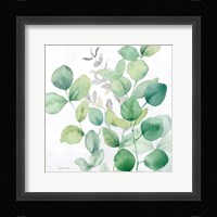 Eucalyptus Leaves I Framed Print