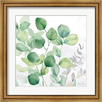 Eucalyptus Leaves II Fine Art Print