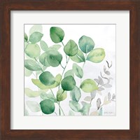 Eucalyptus Leaves II Fine Art Print
