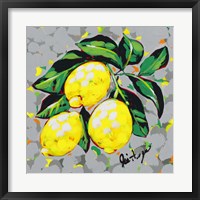 Fruit Sketch Lemons Fine Art Print