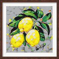 Fruit Sketch Lemons Fine Art Print