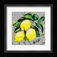 Fruit Sketch Lemons Framed Print