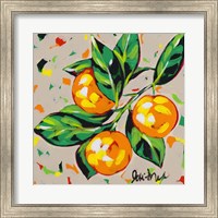 Fruit Sketch Oranges Fine Art Print