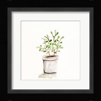 Potted Botanicals I Framed Print