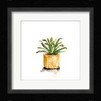 Potted Botanicals II Framed Print