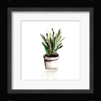 Potted Botanicals III Framed Print