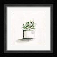 Potted Botanicals IV Framed Print