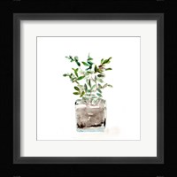 Potted Botanicals V Framed Print