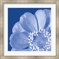 Flower Pop blue I Fine Art Print