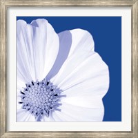 Flower Pop blue III Fine Art Print
