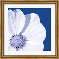 Flower Pop blue III Fine Art Print