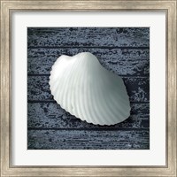 Seashore Shells Navy I Fine Art Print