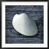 Seashore Shells Navy I Fine Art Print