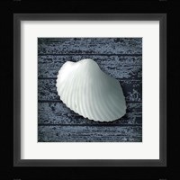 Seashore Shells Navy I Framed Print