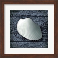 Seashore Shells Navy I Fine Art Print