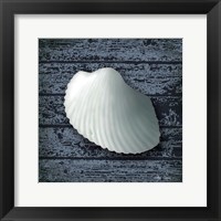 Seashore Shells Navy I Fine Art Print