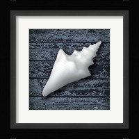 Seashore Shells Navy III Framed Print