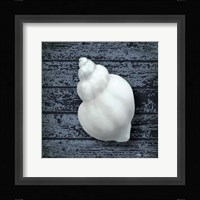 Seashore Shells Navy IV Framed Print