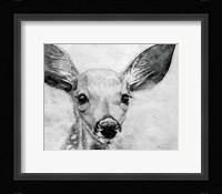 Portrait of a Fawn Fine Art Print