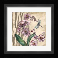 Boho Orchid & Dragonfly I Framed Print