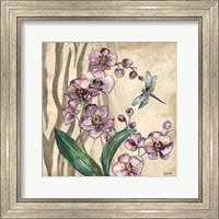 Boho Orchid & Dragonfly I Fine Art Print