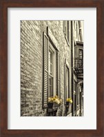 Window Boxes Fine Art Print