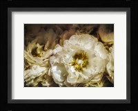 White Flowers Fine Art Print