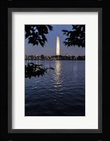All Lit Up Fine Art Print