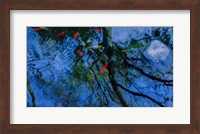 Fish Pond Fine Art Print