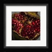 Pomegranate Fine Art Print